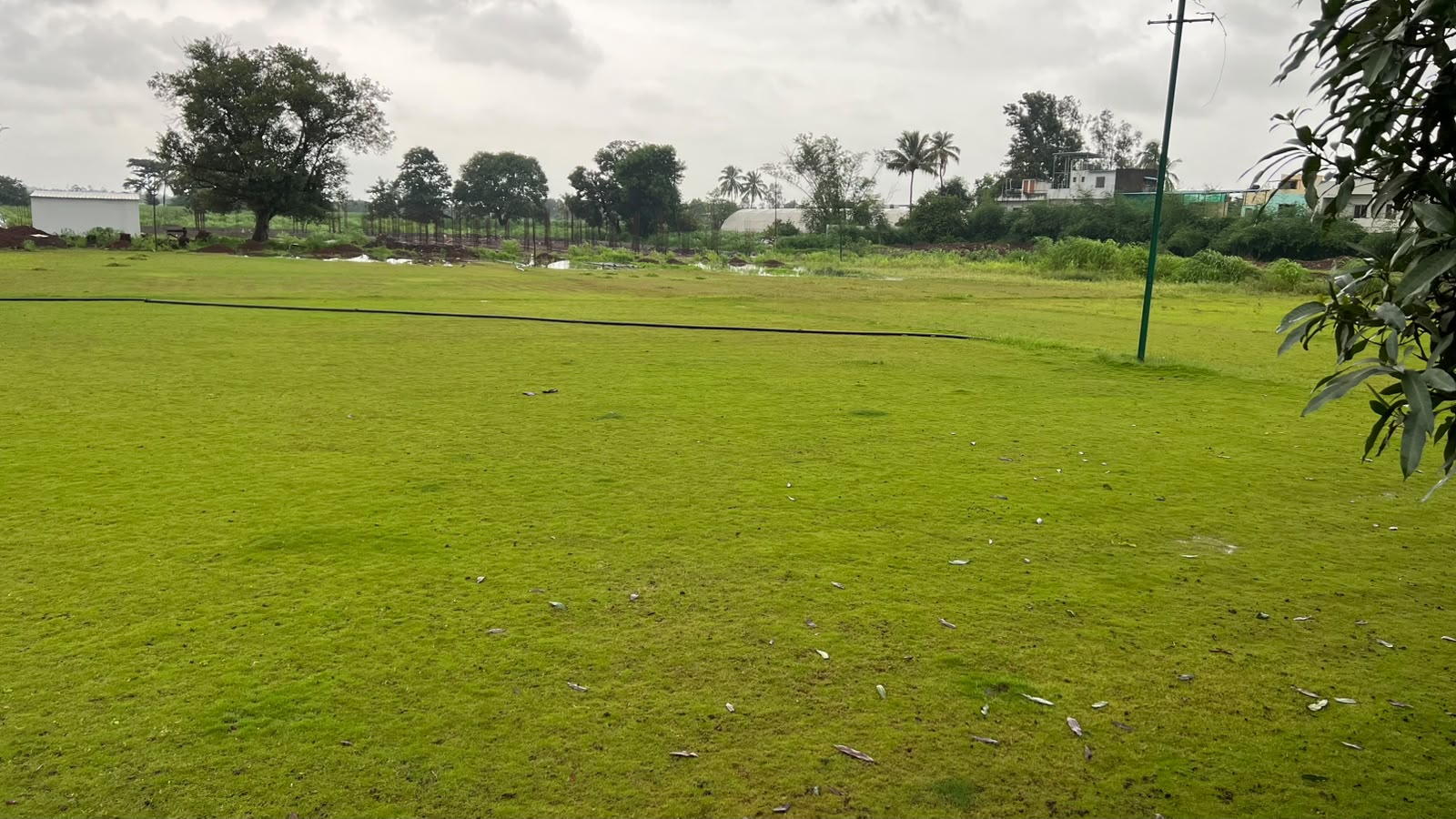Venue grounds