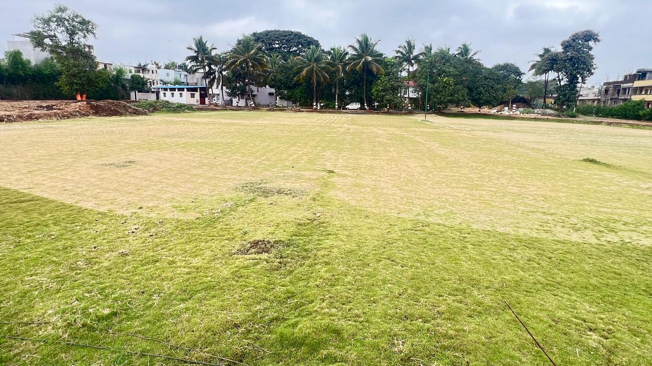 Open lawn greenery