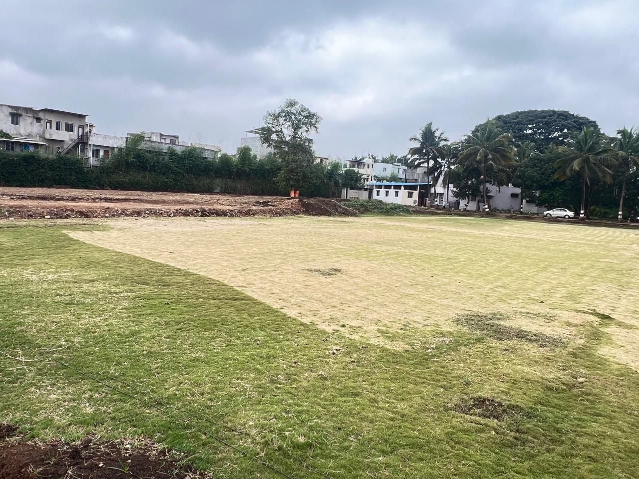 Open lawn panorama