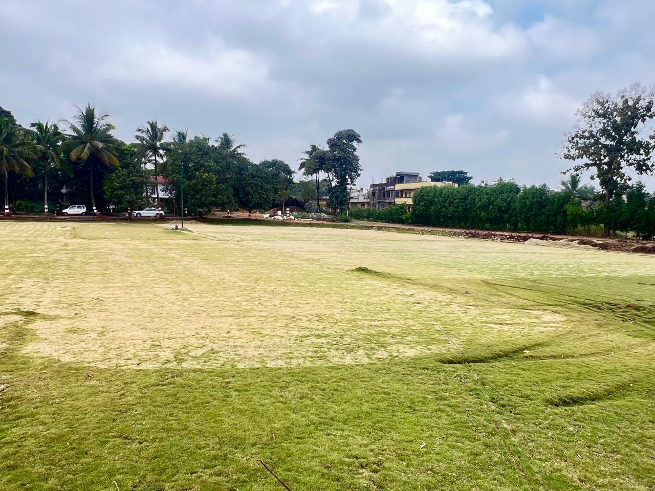 Open lawn landscape