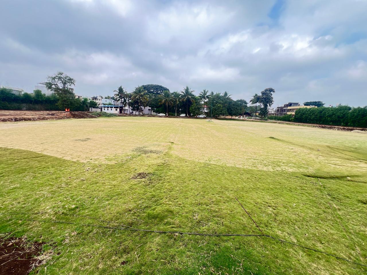 Open lawn expanse